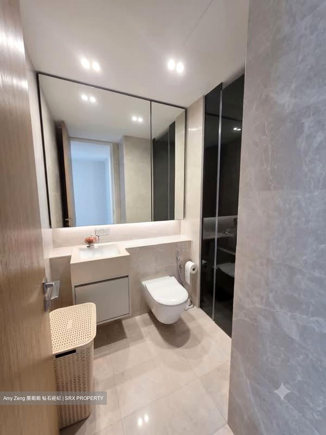 Amber Park (D15), Condominium #581803651